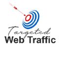 Targeted Website Traffic